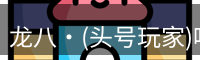 龙八·(头号玩家)唯一官方网站